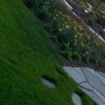 دانلود آهنگ عوضعلی هنردوست نازی جانم