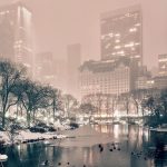 دانلود آهنگ غزال عنایت مهاجر دانلود آهنگ غزال عنایت مهاجر