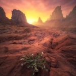 دانلود آهنگ سامان بهار