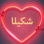 دانلود آهنگ شکیلا خشم مکن