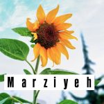 دانلود آهنگ مرضیه بهار من