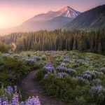 دانلود آهنگ مرضیه خواب