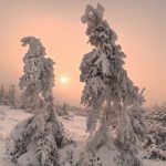 دانلود آهنگ مرضیه نگاهی از دل دانلود آهنگ مرضیه نگاهی از دل