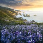 دانلود آهنگ مرضیه عمر دوباره دانلود آهنگ مرضیه عمر دوباره