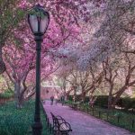 دانلود آهنگ مرضیه عمر دوباره دانلود آهنگ مرضیه عمر دوباره