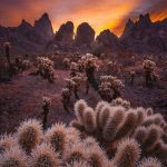 دانلود آهنگ مرجان قمری