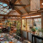 دانلود آهنگ مرجان گمشده