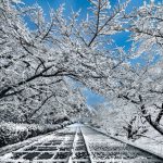 دانلود آهنگ مرجان من همینم