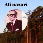 دانلود آهنگ علی نظری دل به دل راهی دارد