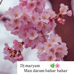 دانلود آهنگ دیجی مریم من دارم بهار بهار