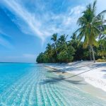 دانلود آهنگ ژاکلین دوماد