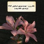 دانلود آهنگ عهدیه خاله رو