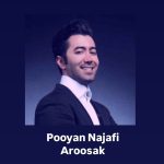 دانلود آهنگ پویان نجفی عروسک
