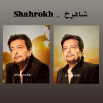 دانلود آهنگ شاهرخ همزاد