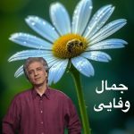 دانلود آهنگ جمال وفایی سوخته دل دانلود آهنگ جمال وفایی سوخته دل