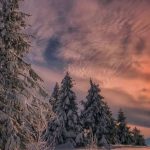 دانلود آهنگ گیتا انگار نه انگار