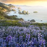 دانلود آهنگ گیتا اگه عشق همینه