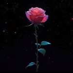 دانلود آهنگ سالیانی پیش گلی غنچه کرد دانلود آهنگ سالیانی پیش گلی غنچه کرد